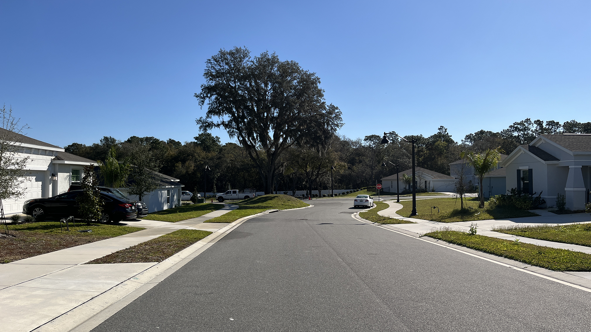 Vineland Reserve_Hero Banner_Street View