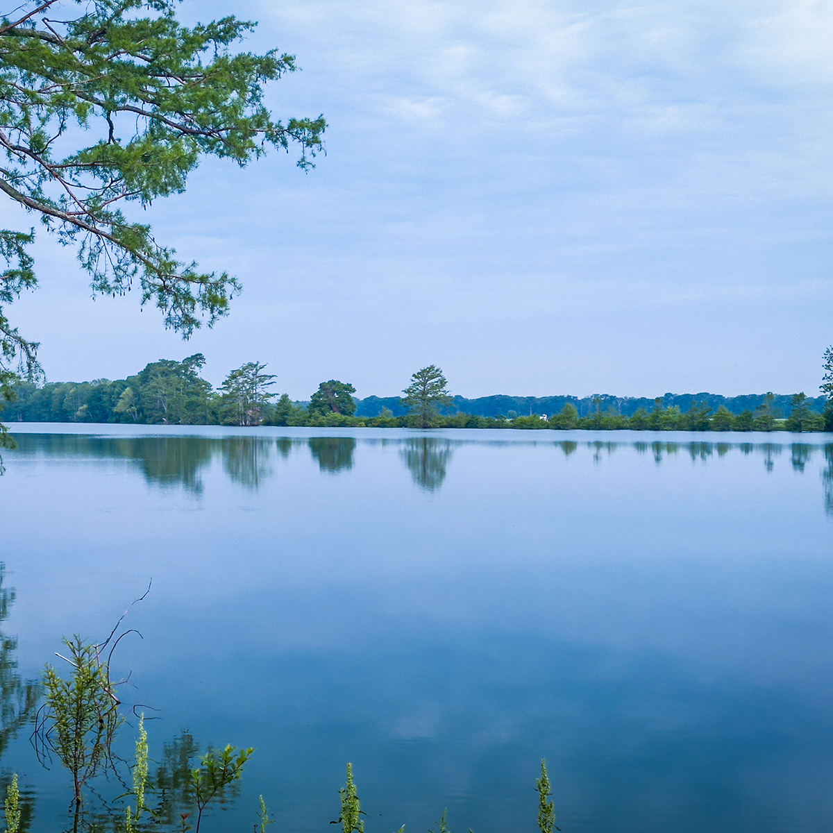Percy Priest Lake