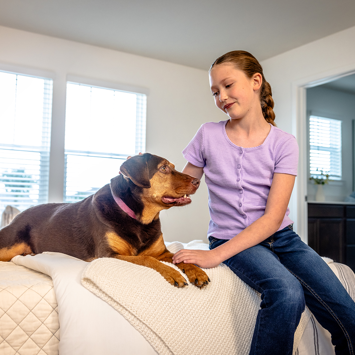 Pet-friendly